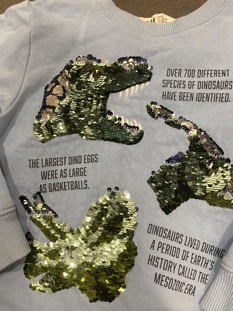 Mikina s dinosaurom, h&m,98