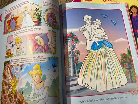 Knižka na rok 2009,2010 barbie, 2009 disney prince,