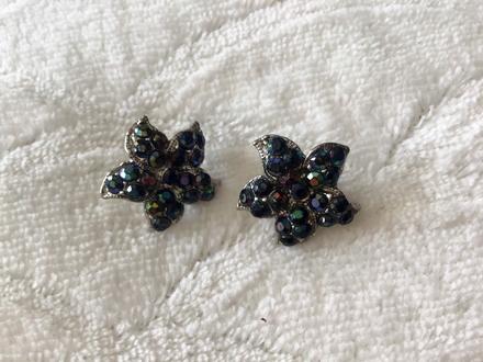 Náušnice trblietave, 