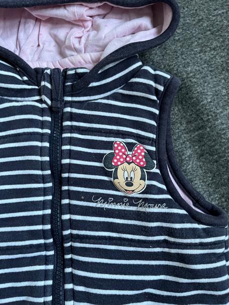 Vesta minnie, disney,92