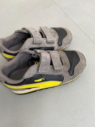 Puma sede 25, puma,25