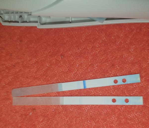 Meškanie menzesu 6 dní a Clear blue test