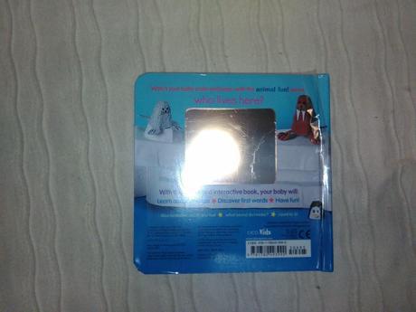 Tracey radford animal fun / make own zoo nsu18,