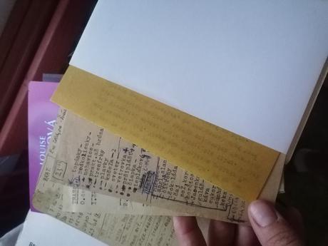 Kniha expedicie j. satinsky,