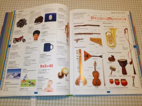 Children's illustrated dictionary hb au21, 
