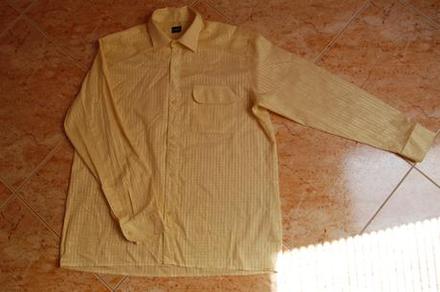 Pekna leskla zlta kosela, 41