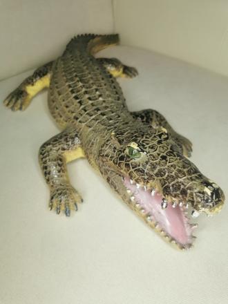 Realistický aligátor, 