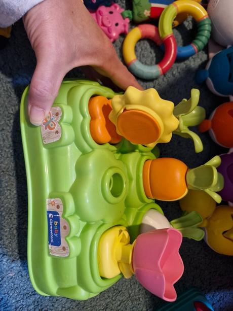 Vkladačka zelenina, 