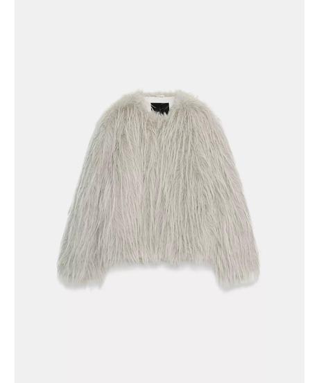 Zara kozuch c. d, zara,s