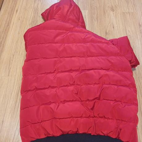 Bunda, chapter young,146