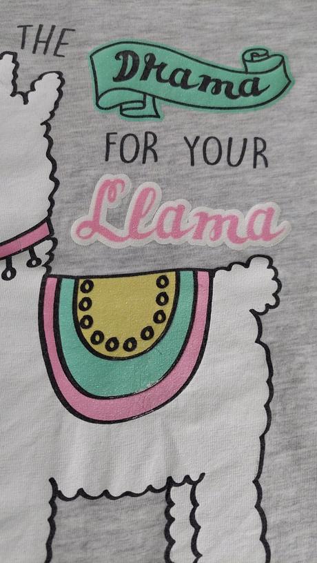 Tričko lama, 110