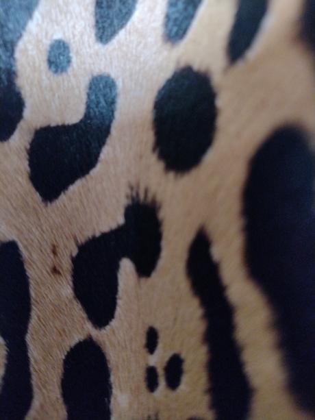 Luxusný kožený dámsky kabát kara., 36