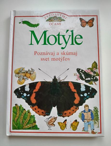 Motýle, 