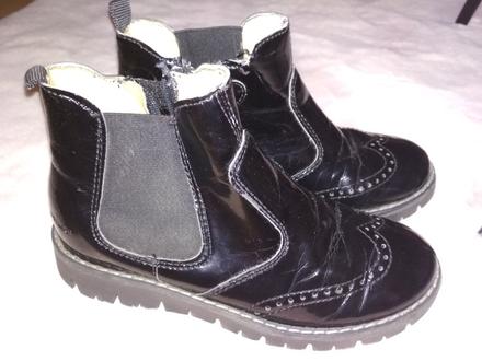 Členkové lakovky primigi, primigi,31