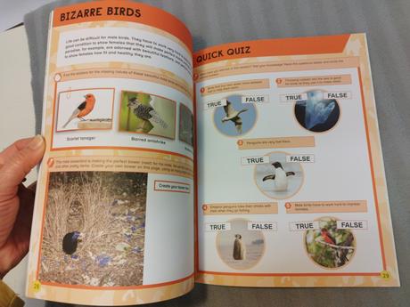 Gear grylls activity book amazing birds nau24, 