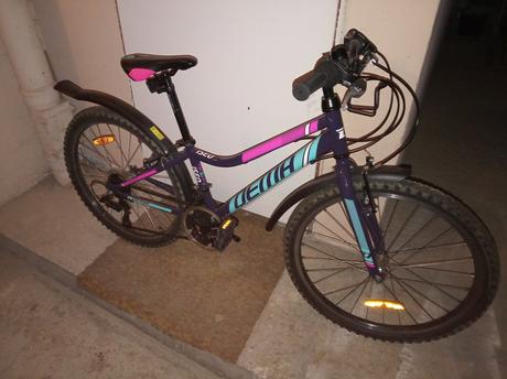 Bicykel dema, dema,24