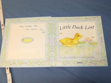Little duck lost    jul18, 