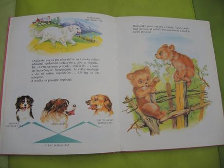 Lesným chodníčkom,