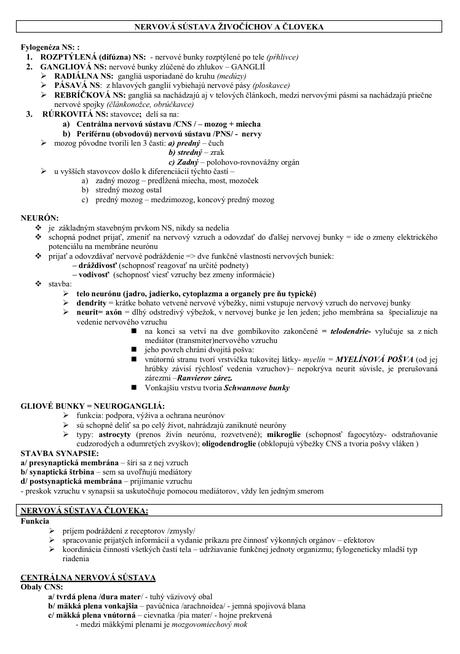 Komplet spracované maturitné zadania, 