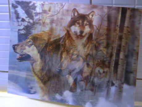 Pohyblivé obrazy 3d, 