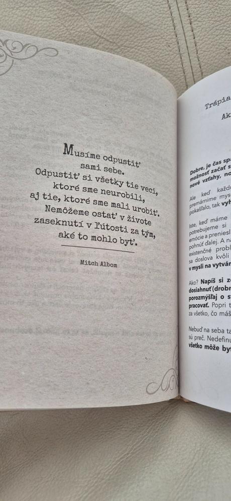Kniha som idealista, 