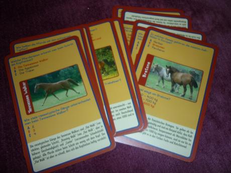 Hra / kvíz faszination pferd - od 8 rokov, 