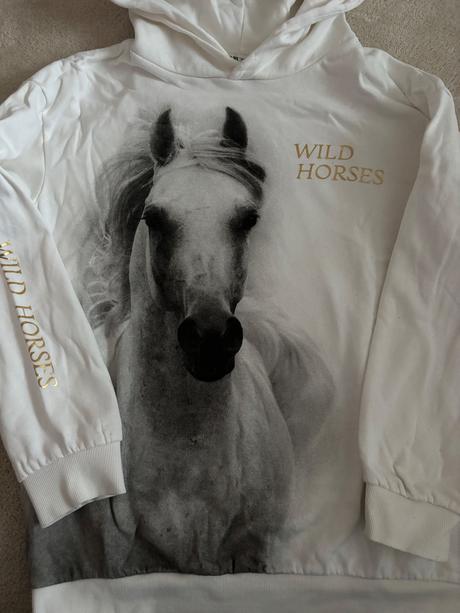 Mikina kôň, h&m,164