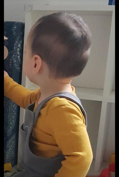 Stretli ste sa už s rôzne sfarbenými a hustými vlasmi u 1,5 ročného ostrihaného dieťaťa?