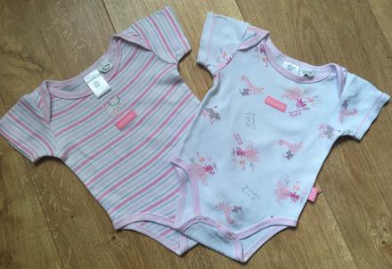 Body, pumpkin patch,62