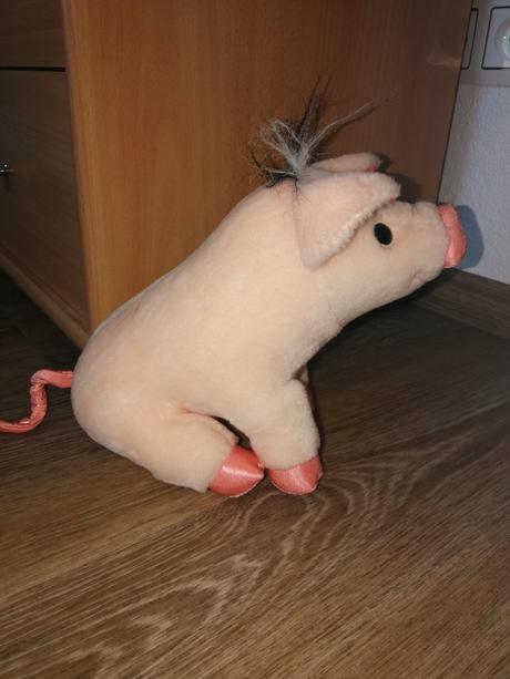 Plyšové prasiatko, 