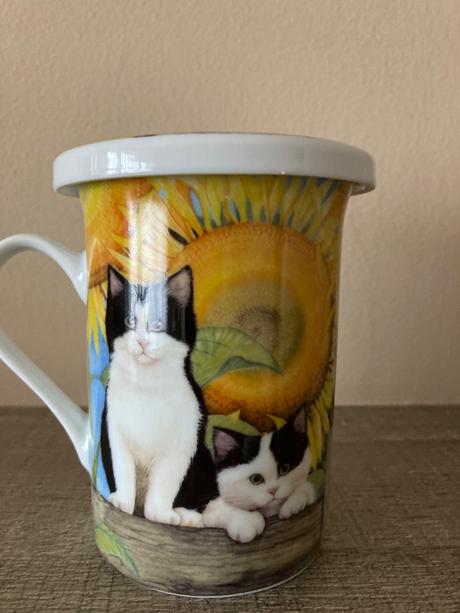 Šálka mačka so sitkom, 