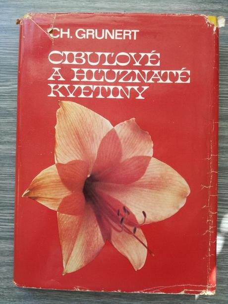 Cibuľové a hľuznaté kvetiny, 