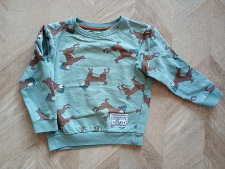 Mikina so psikmi, pepco,104