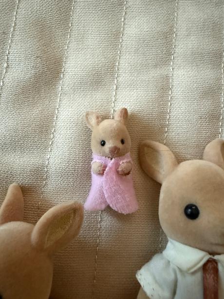 Sylvaniovci kengury,