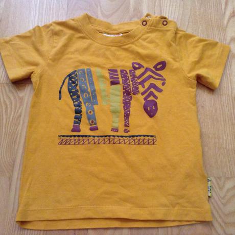 Tricko coccodrillo, coccodrillo,92