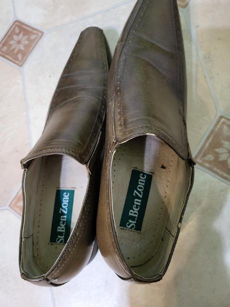 Poltopanky hnedé, 42