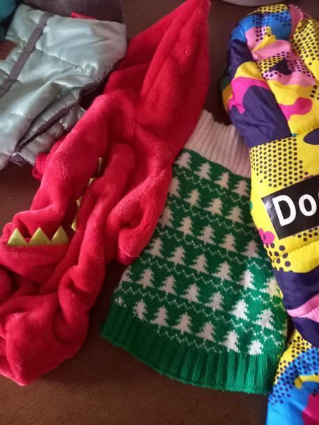 Rozne veci pre psika, 