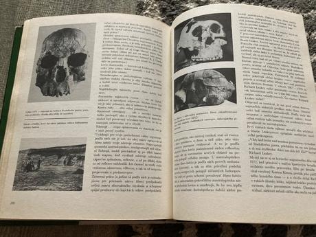 Cesta za adamom (1983), 