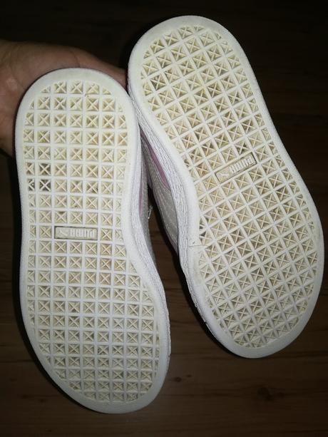 Puma topanky, puma,31