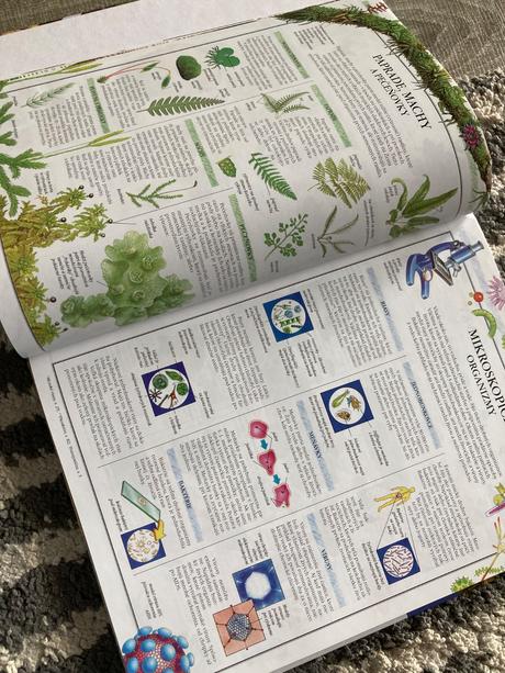 Svet prírody ottova ilustrovaná encyklopédia(2013), 