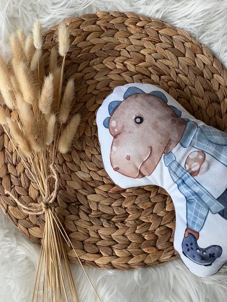 Zavinovačka&deka a plyšový mojkačik, 