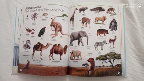 Kniha môj prvý obrázkový slovnícek (slovenčina - ), 