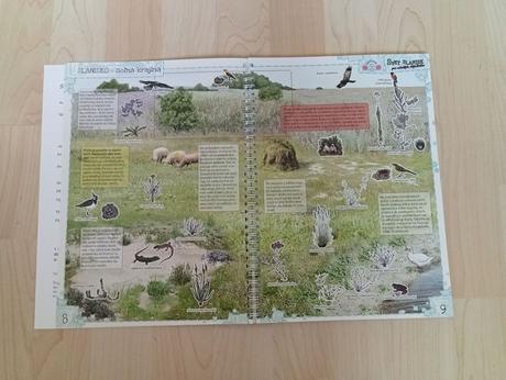 Náučné interaktívne časopisy a omaľovánky, 