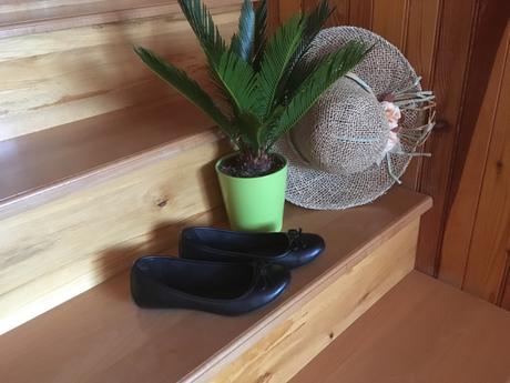 Baleríny, graceland,36