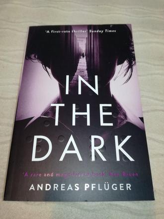 Andreas pfluger - in the dark v, 