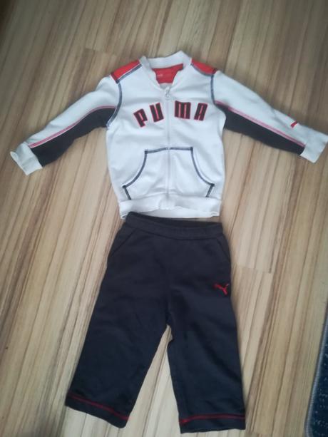 Súprava puma, puma,80