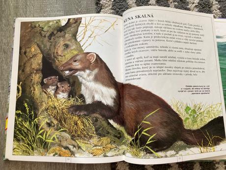 Zvieratá európy-prvé vyd.1997, 