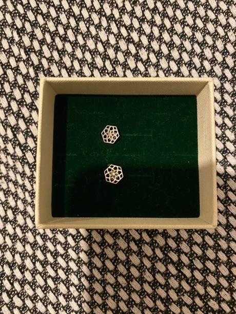 Nausnice strieborne, 