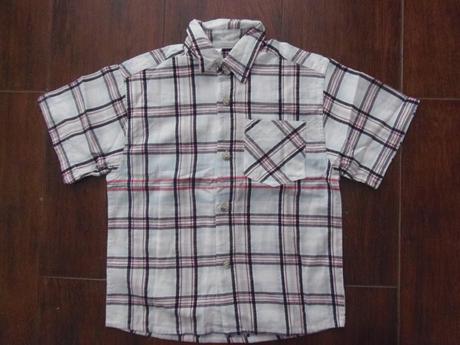 Košela, palomino,98