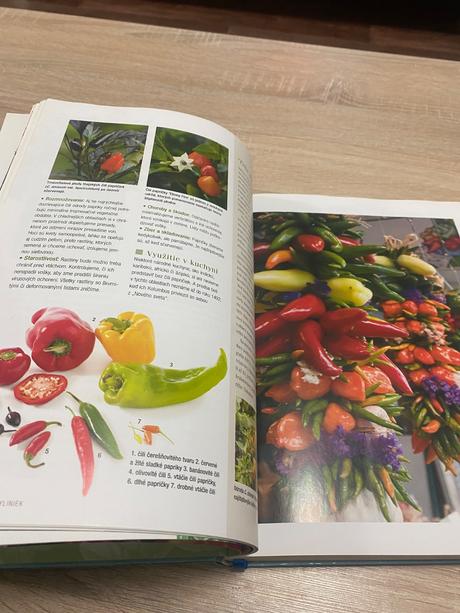 Velká kniha bylinek bylinky, 